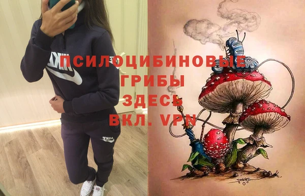 таблы Богданович
