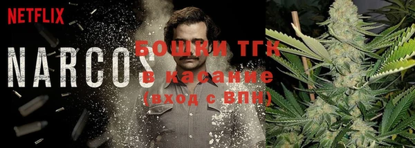 таблы Богданович