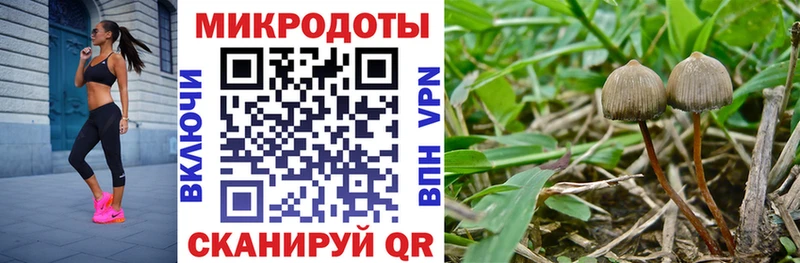 Псилоцибиновые грибы ЛСД  где купить   Тбилисская 